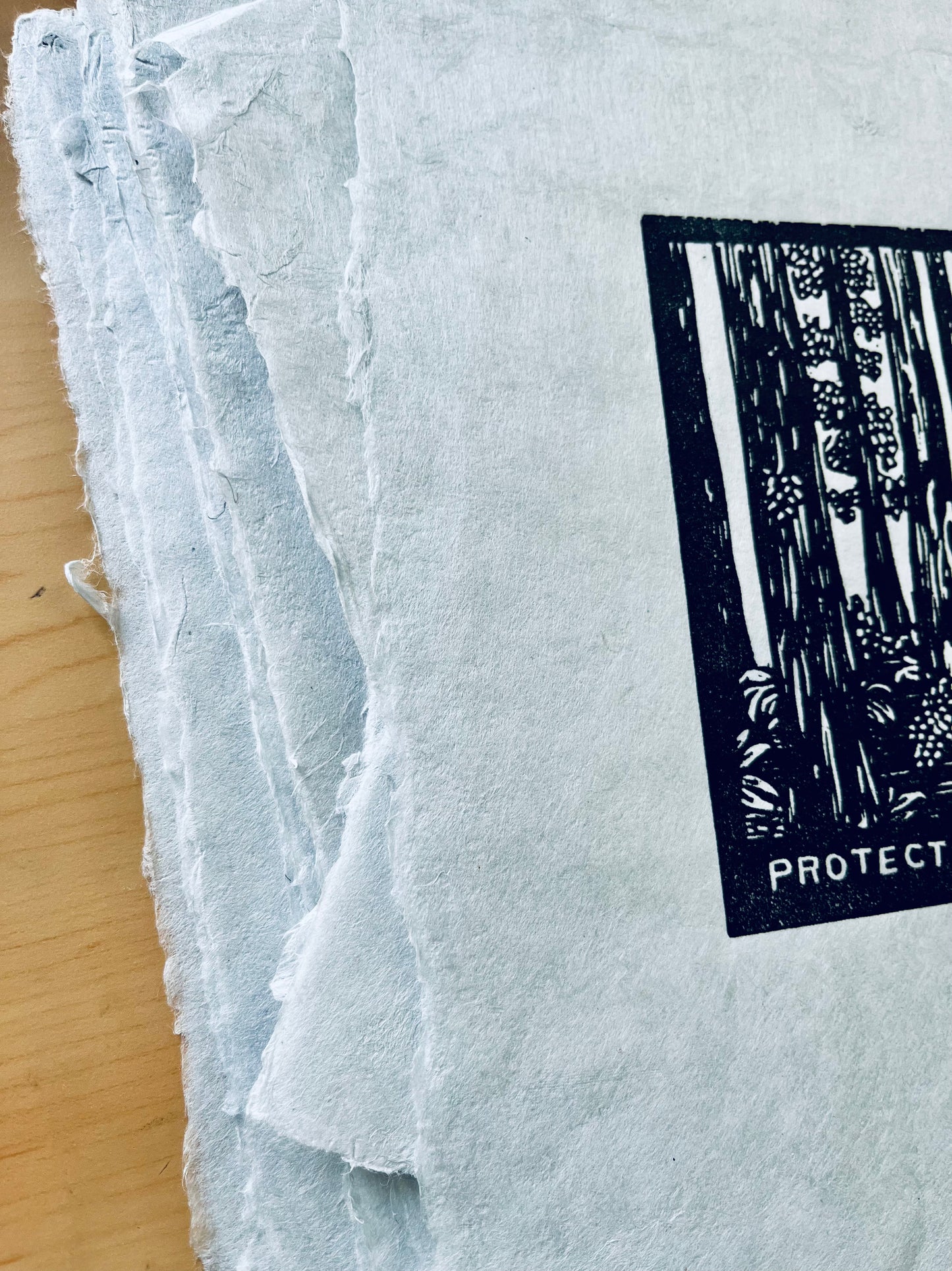 "Protect Your Wild" Original Open Edition Linoleum Block Print