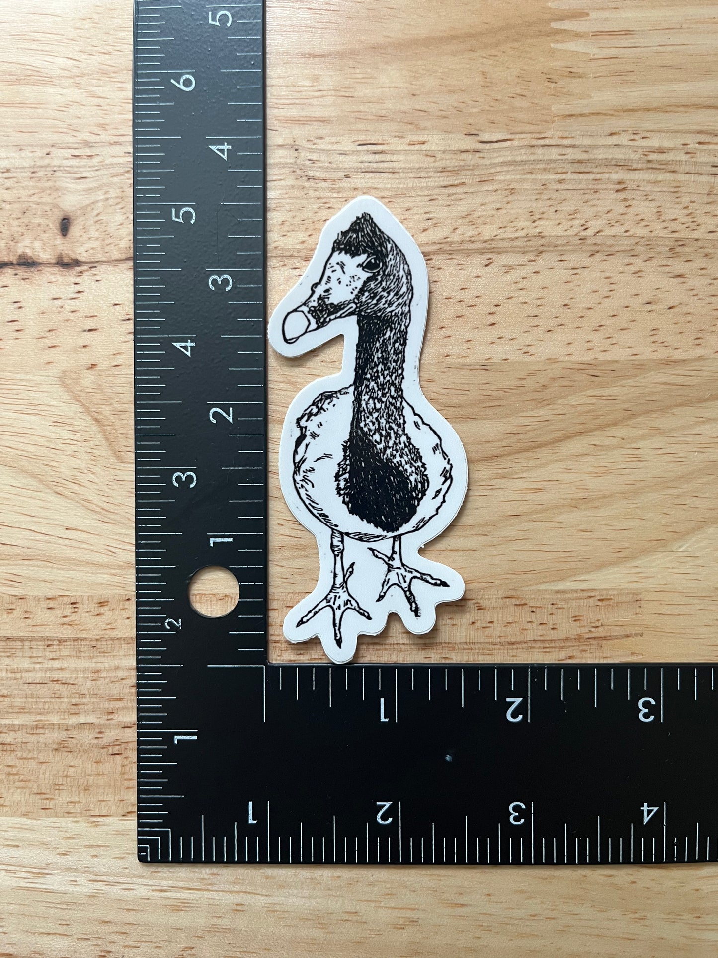Stickers - Waterproof Adhesive, UV Laminate - Designs from Linoleum Block Prints