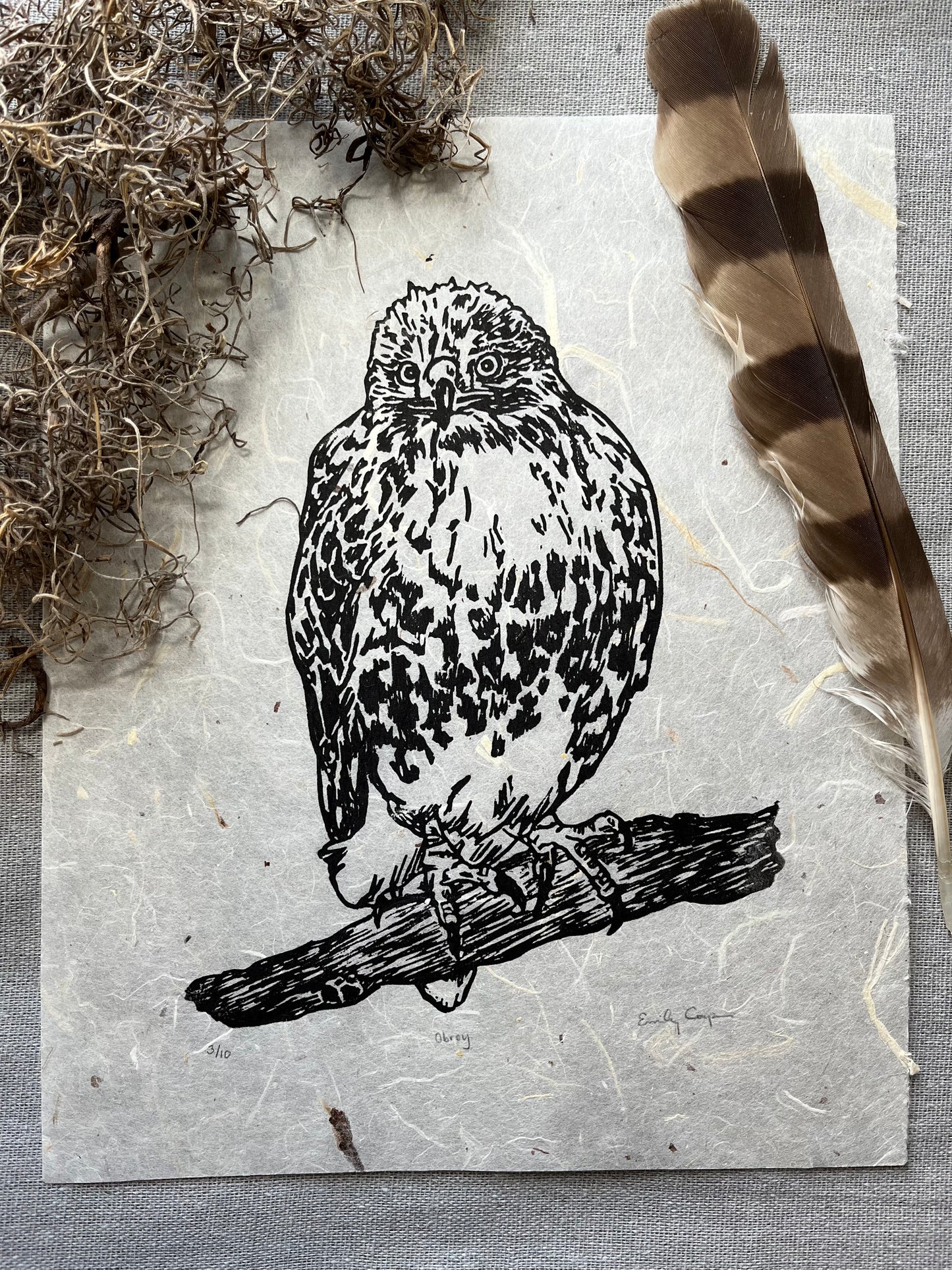 'Obrey' Hawk Linocut Print