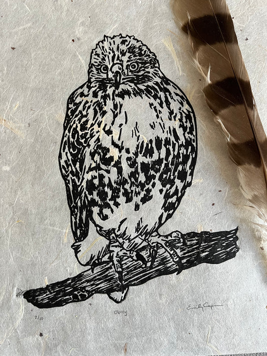 'Obrey' Hawk Linocut Print